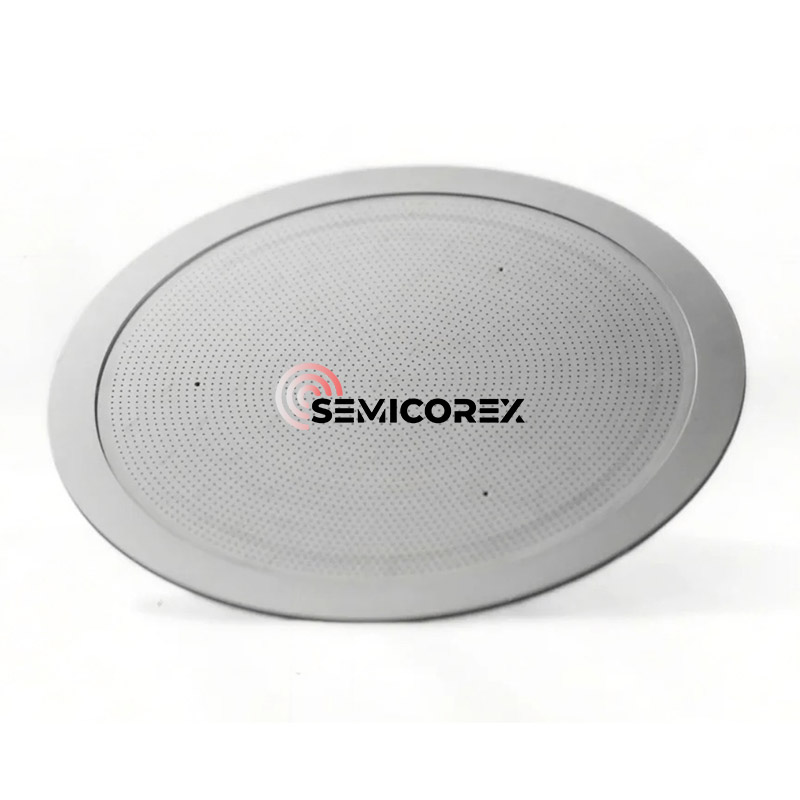 رؤوس الدش CVD SiC