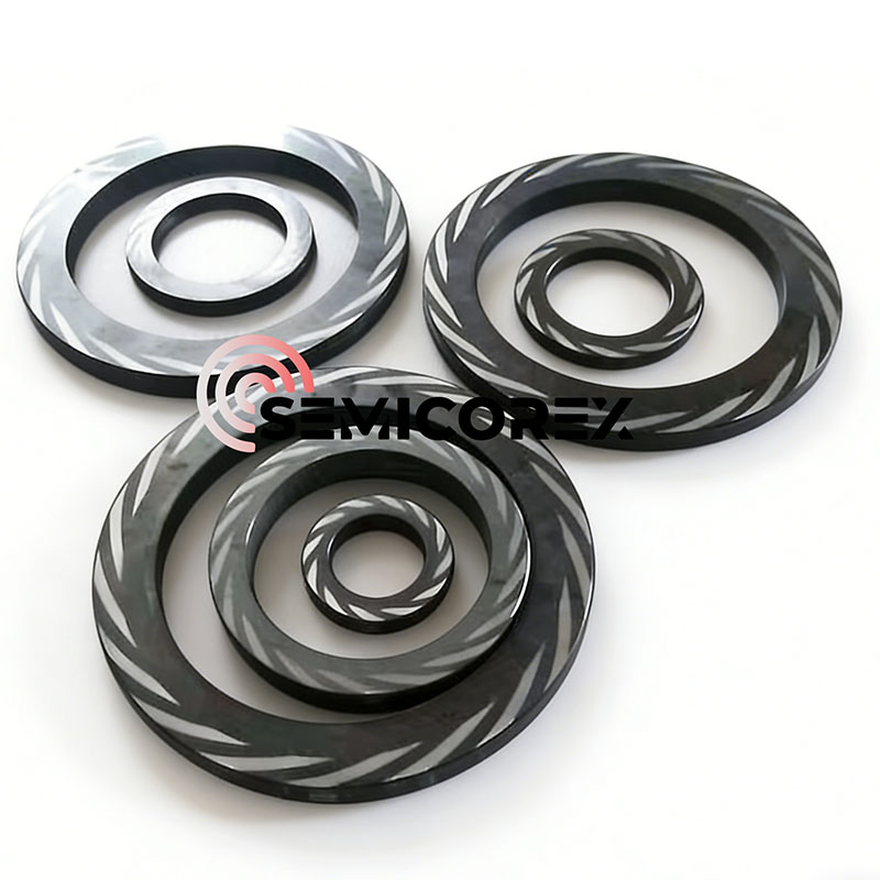 وجه ختم SiC لـ DGS